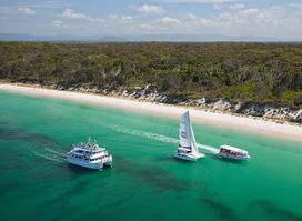 Dolphin Watch Cruises Jervis Bay
