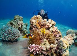 Nautilus Red Sea