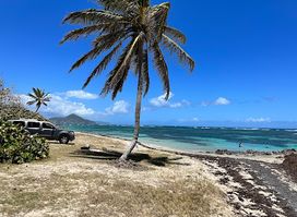 Herberts Beach
