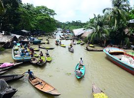 Floating Guava Market