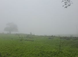عرين سمحان