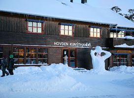 Hovden Kunsthandel