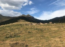 Bordes de Seturia