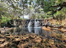 Rochester Falls
