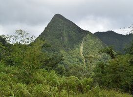 Des Cartier Trail