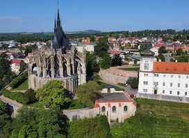 Portrét Jaroslava Vrchlického