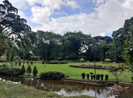 Bogor Botanical Gardens