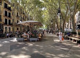 Passeig del Born