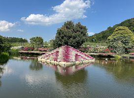 Ashikaga Flower Park