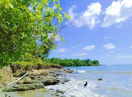 Black Bay