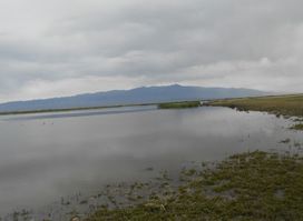 Khar us nuur bird watch tower