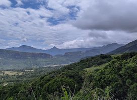 Knuckles View Point