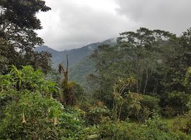 Pacha Quindi Nature Refuge