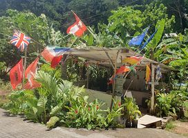 Simon’s Fruit Shop