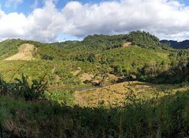 Bunong trekking in Cambodia & Homestay