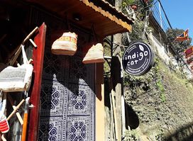 Indigo Cat