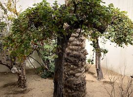 Archaeologies of Green Pavilion