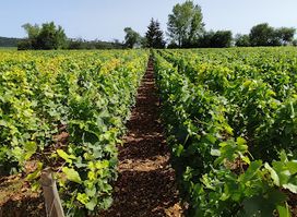 Domaine de l’Université de Bourgogne