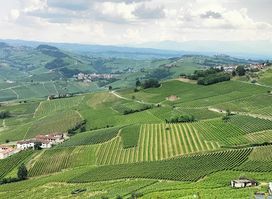 Belvedere di La Morra