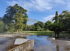 Jardin municipal de curepipe paul &Virginie