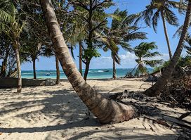 Little Corn Island