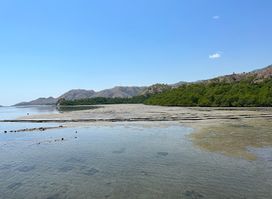 Timor Leste