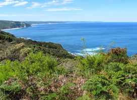 Great Ocean Walk - Walk 91