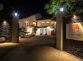 The Coral Tree Guesthouse