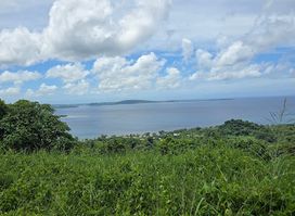 Vanuatu Jungle Zipline - Main Office