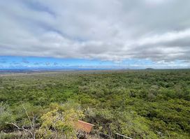 Mirador el Mango