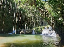 Chukka Zipline over YS Falls
