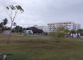 Istana Darussalam