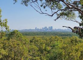 Charles Darwin Lookout