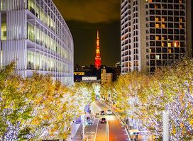 Roppongi Keyakizaka St.