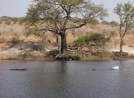Kalahari Tours