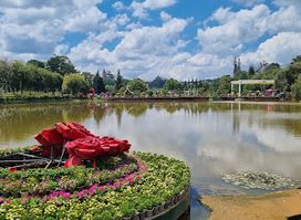 Vườn hoa thành phố Đà Lạt