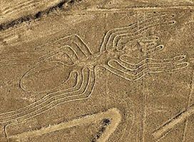 Nazca Spider