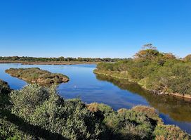 Ludo Trail