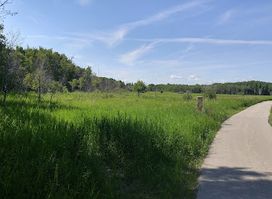 Assiniboine Forest Marsh Docks