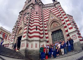 Zebra Fisgona Tours
