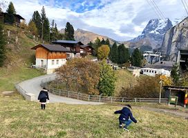 Grütschalp - Mürren - Schilthorn - Retour