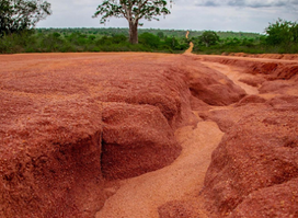Angola Travel and Tours