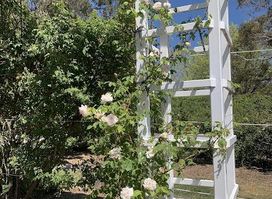 Old Parliament House Gardens