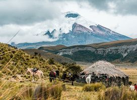 Travel Agency Secret Garden Ecuador