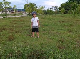 Molave Park