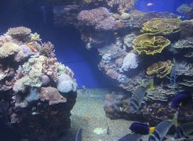 Red Sea view Lookout