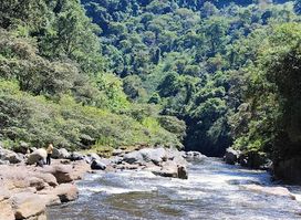 Estrecho del Río Magdalena