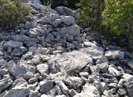 Ilirska gradina