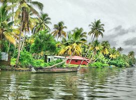 Perumbalam Island Alappuzha