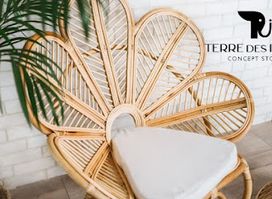 Terre des Indes